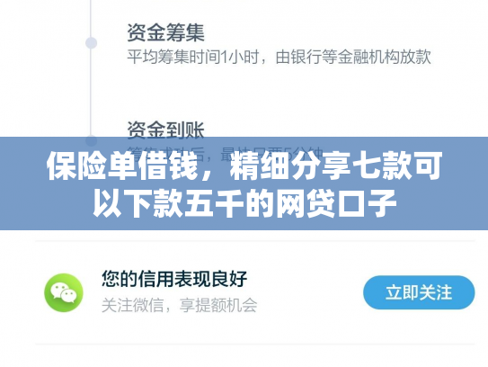 保险单借钱，精细分享七款可以下款五千的网贷口子