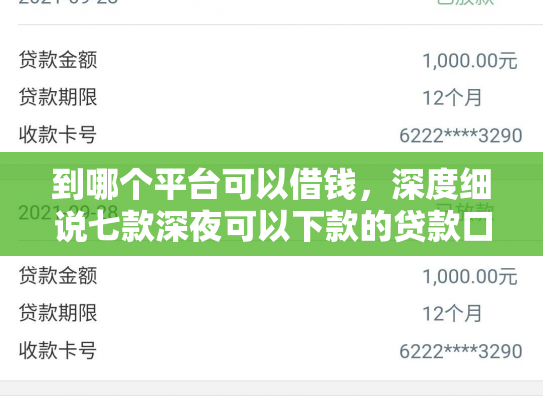 到哪个平台可以借钱，深度细说七款深夜可以下款的贷款口子