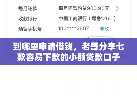 到哪里申请借钱，老哥分享七款容易下款的小额贷款口子