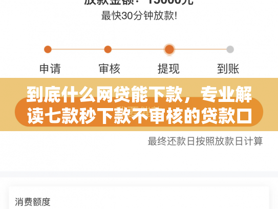 到底什么网贷能下款，专业解读七款秒下款不审核的贷款口子