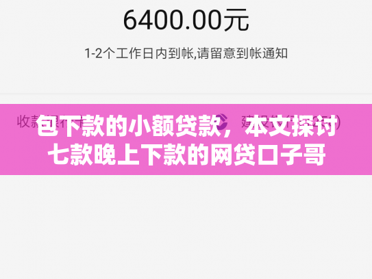 包下款的小额贷款，本文探讨七款晚上下款的网贷口子哥