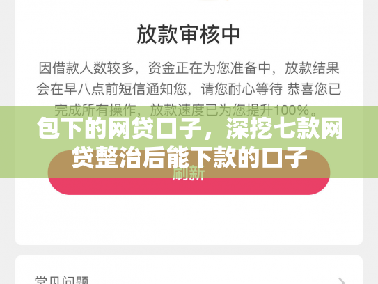 包下的网贷口子，深挖七款网贷整治后能下款的口子