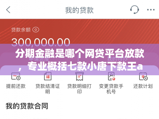 分期金融是哪个网贷平台放款，专业概括七款小唐下款王app里面的口子