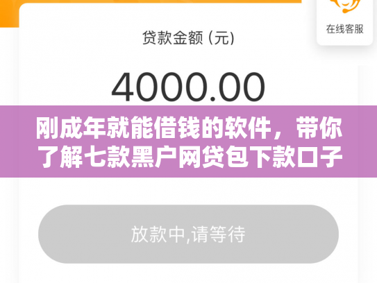 刚成年就能借钱的软件，带你了解七款黑户网贷包下款口子