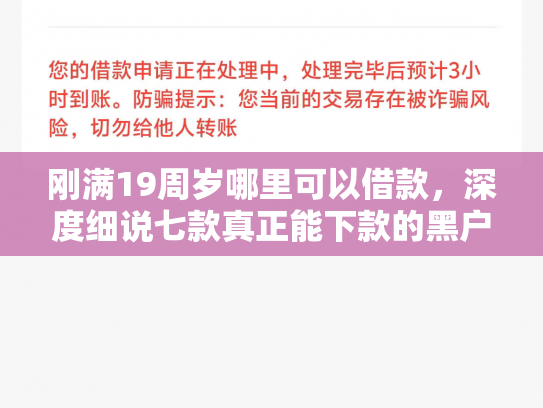 刚满19周岁哪里可以借款，深度细说七款真正能下款的黑户网贷