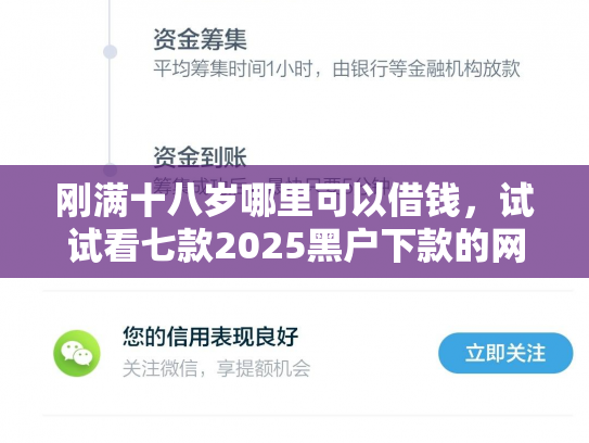 刚满十八岁哪里可以借钱，试试看七款2025黑户下款的网贷