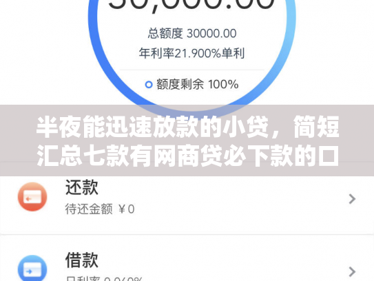 半夜能迅速放款的小贷，简短汇总七款有网商贷必下款的口子