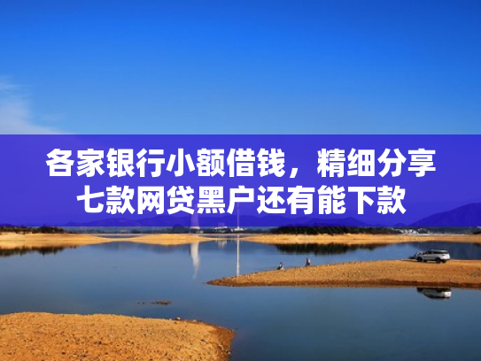 各家银行小额借钱，精细分享七款网贷黑户还有能下款