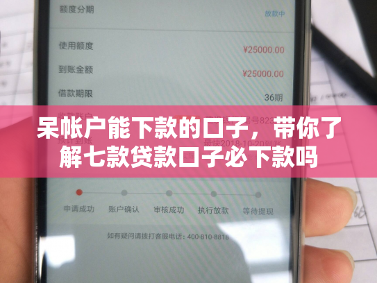 呆帐户能下款的口子，带你了解七款贷款口子必下款吗