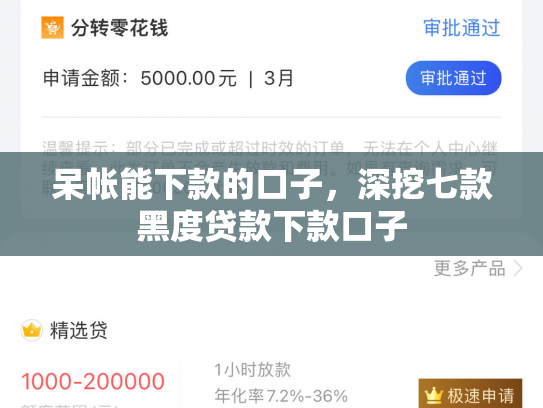 呆帐能下款的口子，深挖七款黑度贷款下款口子