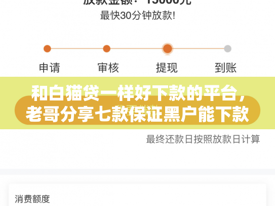 和白猫贷一样好下款的平台，老哥分享七款保证黑户能下款的网贷