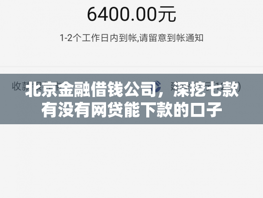 北京金融借钱公司，深挖七款有没有网贷能下款的口子