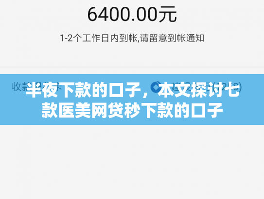 半夜下款的口子，本文探讨七款医美网贷秒下款的口子