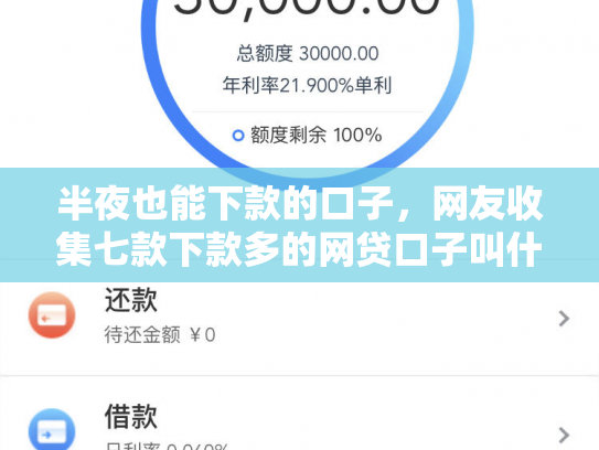 半夜也能下款的口子，网友收集七款下款多的网贷口子叫什么