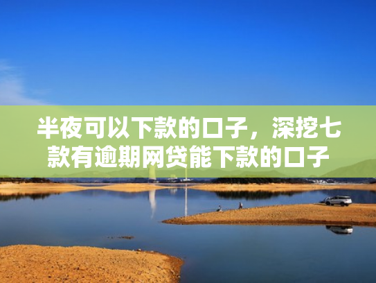 半夜可以下款的口子，深挖七款有逾期网贷能下款的口子
