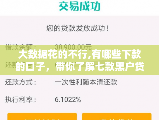 大数据花的不行,有哪些下款的口子，带你了解七款黑户贷款下款口子