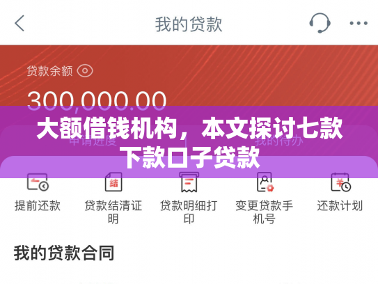 大额借钱机构，本文探讨七款下款口子贷款
