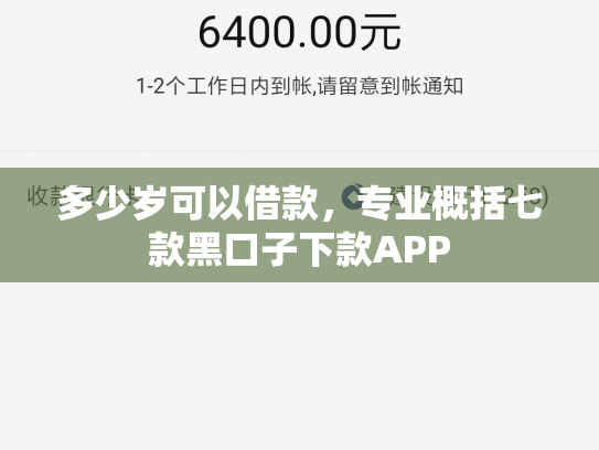 多少岁可以借款，专业概括七款黑口子下款APP