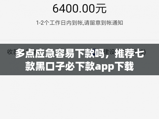 多点应急容易下款吗，推荐七款黑口子必下款app下载
