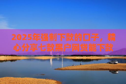 2025年强制下款的口子，精心分享七款黑户网贷能下款口子
