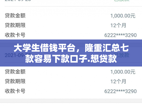 大学生借钱平台，隆重汇总七款容易下款口子.想贷款