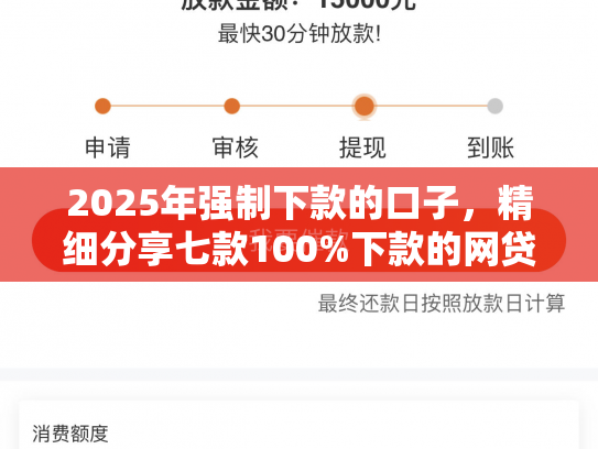 2025年强制下款的口子，精细分享七款100%下款的网贷口子