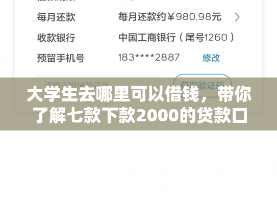 大学生去哪里可以借钱，带你了解七款下款2000的贷款口子