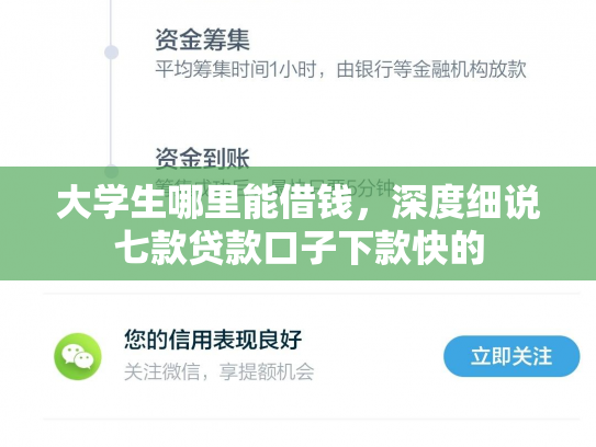 大学生哪里能借钱，深度细说七款贷款口子下款快的