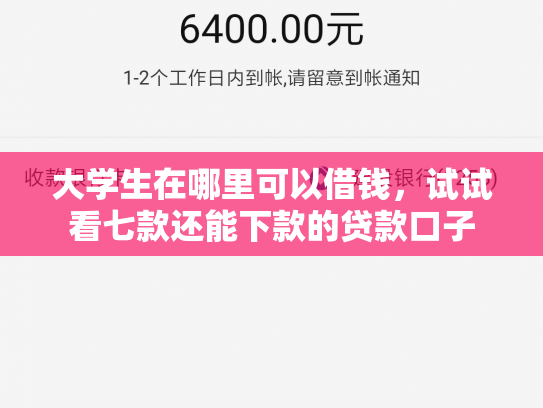大学生在哪里可以借钱，试试看七款还能下款的贷款口子