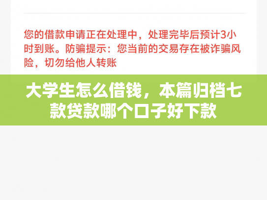 大学生怎么借钱，本篇归档七款贷款哪个口子好下款