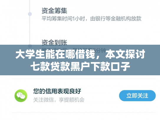 大学生能在哪借钱，本文探讨七款贷款黑户下款口子