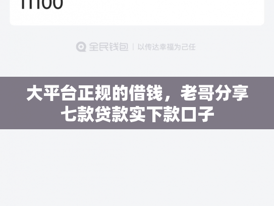 大平台正规的借钱，老哥分享七款贷款实下款口子