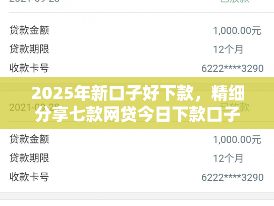 2025年新口子好下款，精细分享七款网贷今日下款口子