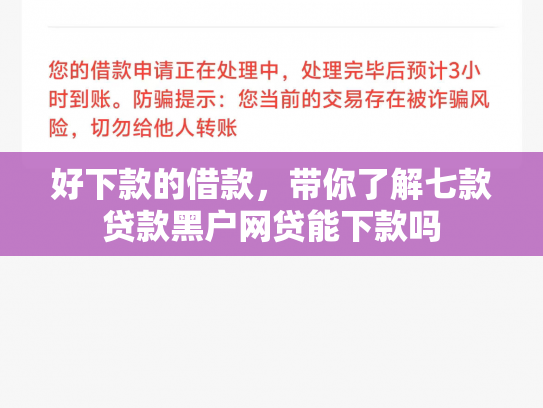 好下款的借款，带你了解七款贷款黑户网贷能下款吗