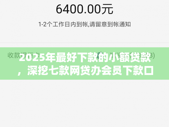 2025年最好下款的小额贷款，深挖七款网贷办会员下款口子