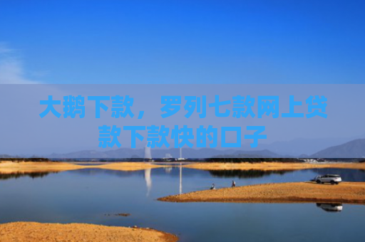 大鹅下款，罗列七款网上贷款下款快的口子