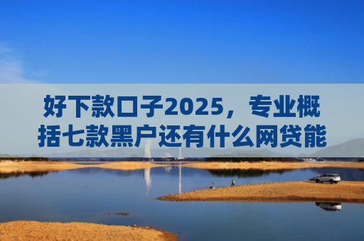 好下款口子2025，专业概括七款黑户还有什么网贷能下款