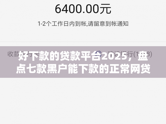 好下款的贷款平台2025，盘点七款黑户能下款的正常网贷