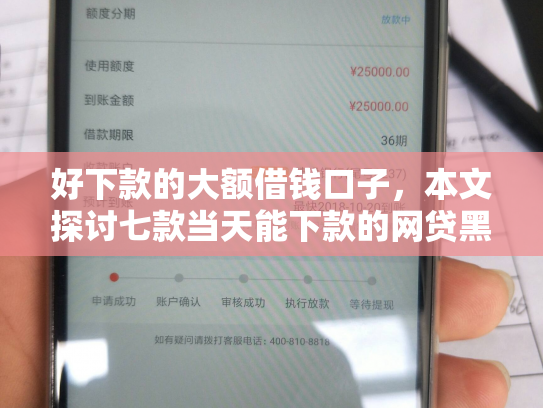 好下款的大额借钱口子，本文探讨七款当天能下款的网贷黑户
