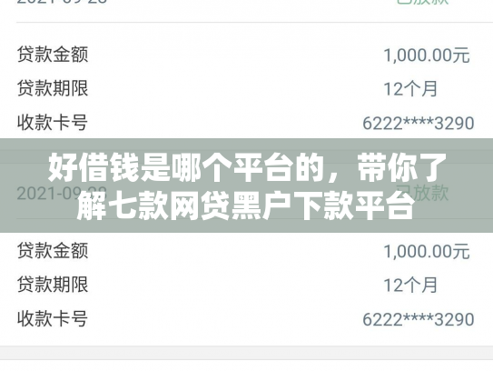 好借钱是哪个平台的，带你了解七款网贷黑户下款平台