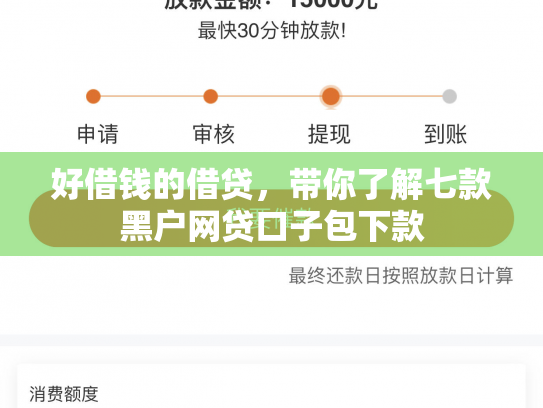 好借钱的借贷，带你了解七款黑户网贷口子包下款