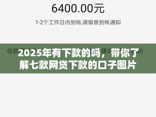 2025年有下款的吗，带你了解七款网贷下款的口子图片