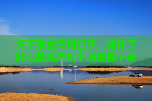 好下款的高炮口子，带你了解七款黑户哪个网贷能下款啊