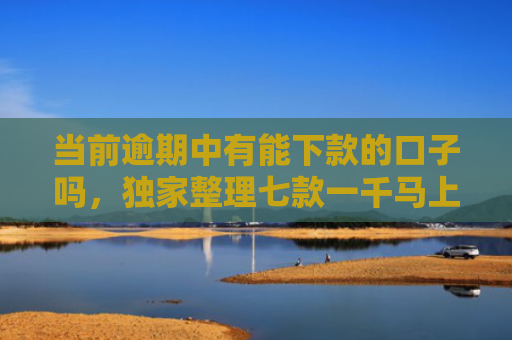 当前逾期中有能下款的口子吗，独家整理七款一千马上下款的贷款口子