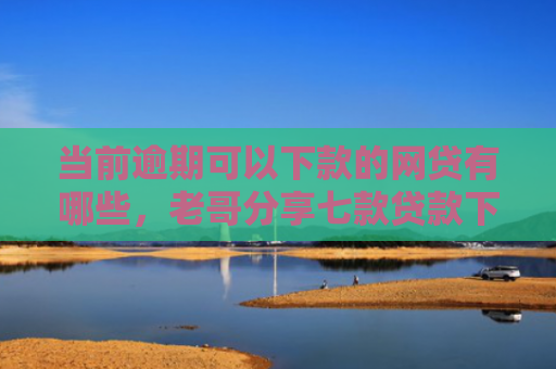 当前逾期可以下款的网贷有哪些，老哥分享七款贷款下款快的口子有哪些