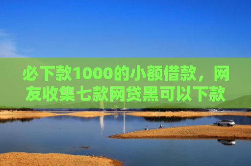 必下款1000的小额借款，网友收集七款网贷黑可以下款的口子