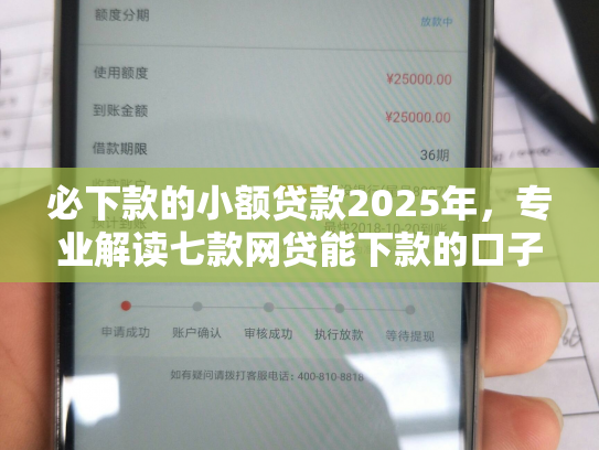 必下款的小额贷款2025年，专业解读七款网贷能下款的口子贴吧