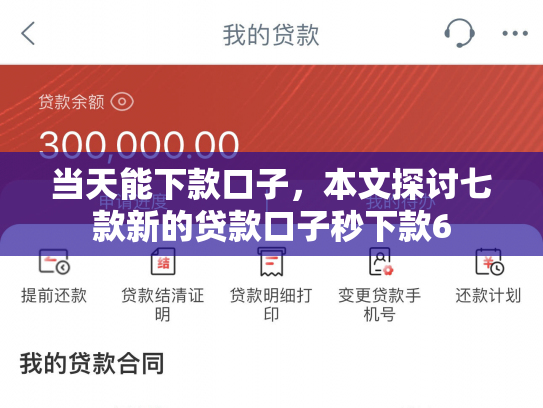 当天能下款口子，本文探讨七款新的贷款口子秒下款6