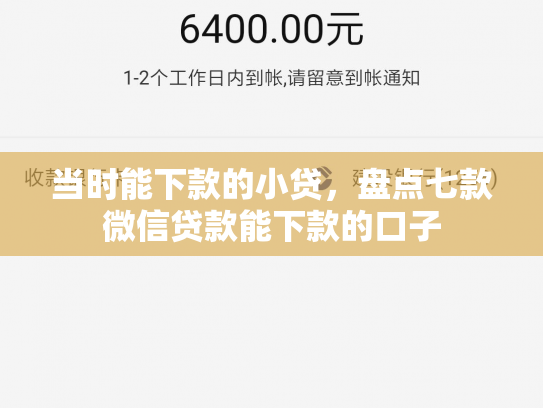 当时能下款的小贷，盘点七款微信贷款能下款的口子