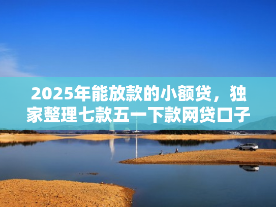 2025年能放款的小额贷，独家整理七款五一下款网贷口子